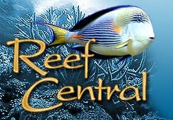 ReefCentralLogo.jpg